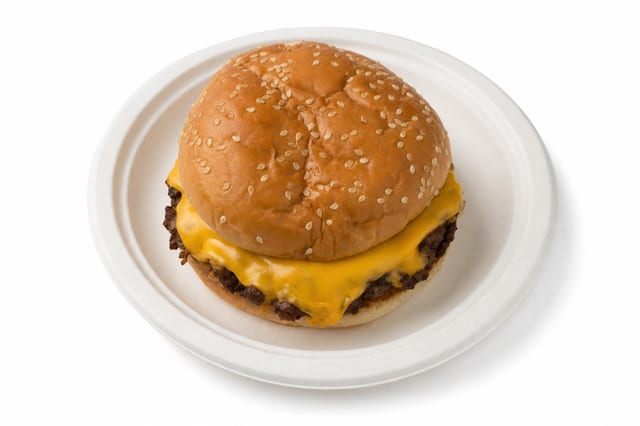 Cheese Burger (No Fries).