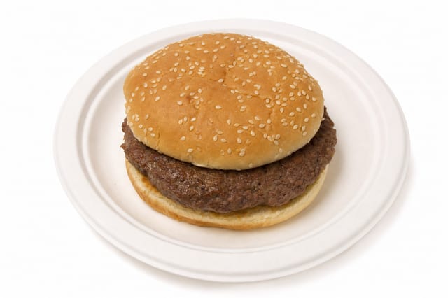 Plain Burger (No Fries).